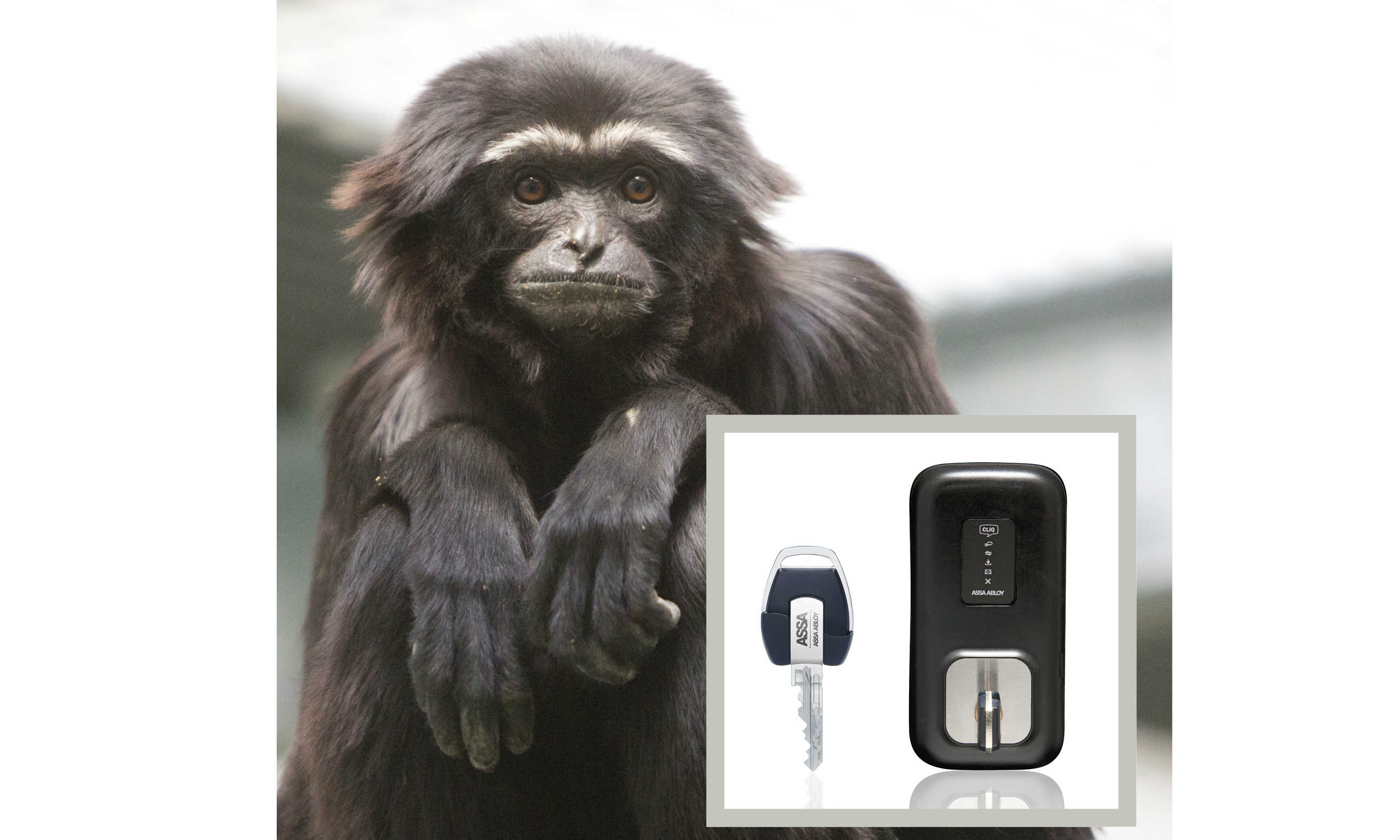 At a leading UK zoo, CLIQ® provides flexible locking fit for the next 20 years